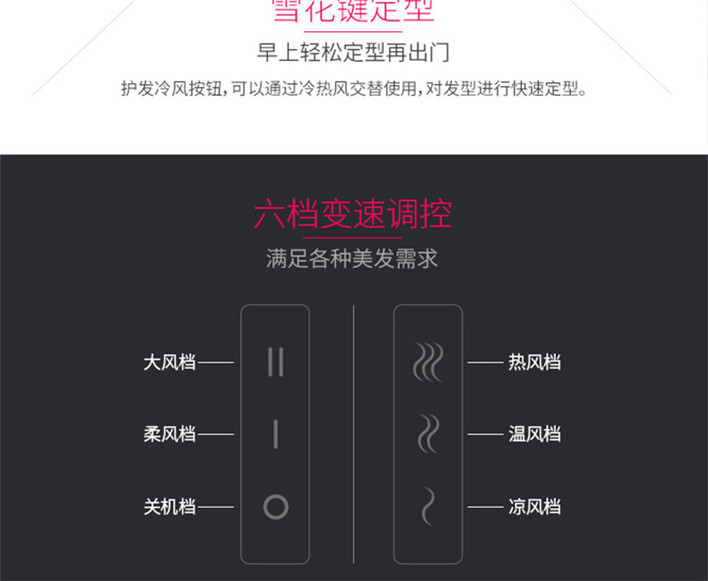 飞科/FLYCO 飞科吹风机fh6229家用理发店大功率发廊专业不伤发负离子电吹风筒