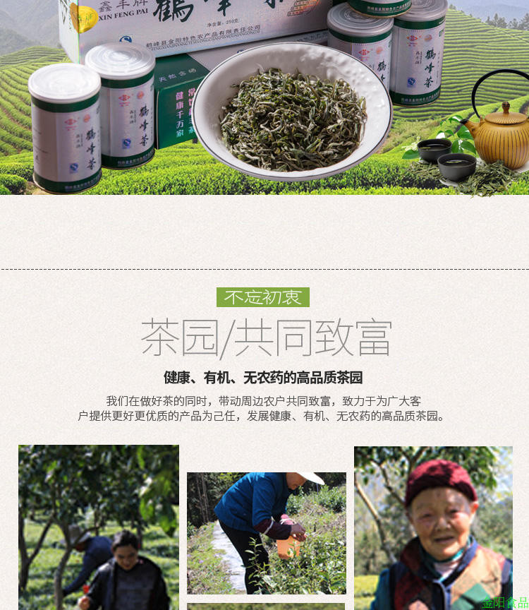 问玄系列【鹤峰】鹤峰邮政分公司厂家直供鑫丰6#绿茶5*50g*2条/提