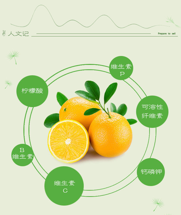 邮记 麻阳锦秀冰糖橙果径65mm 纯甜无酸