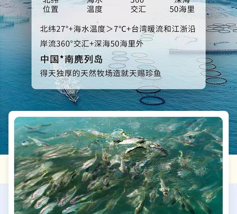 麂东 麂东 仿野生南麂大黄鱼  深海养殖 整条黄鱼鲞 5条装