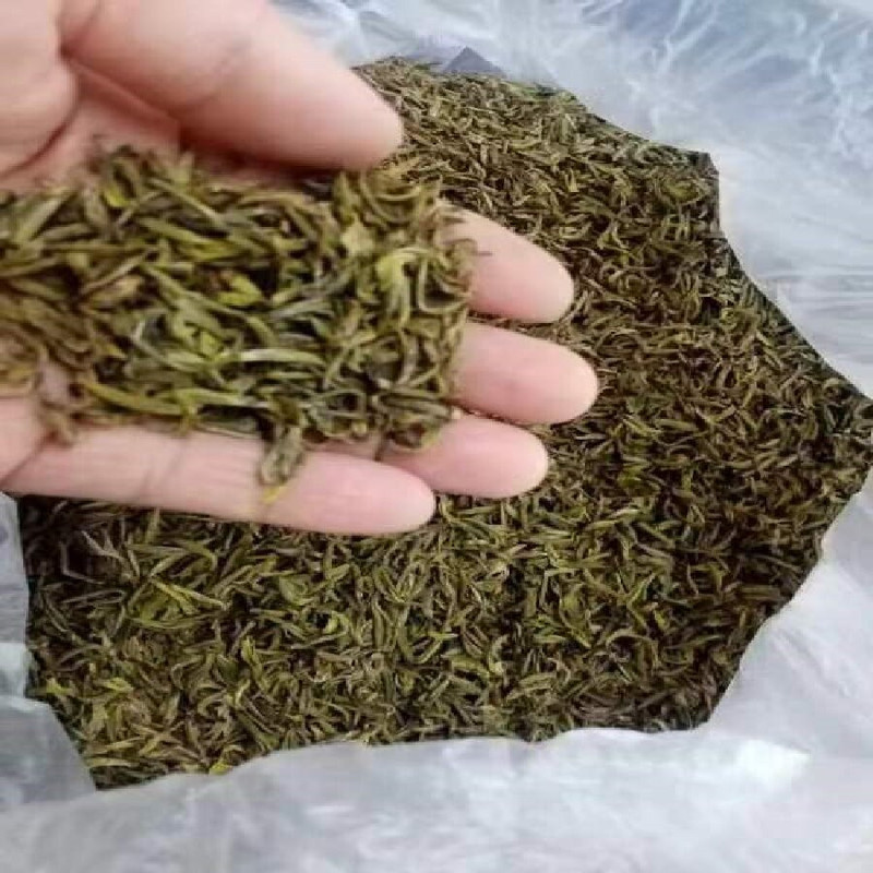 龍蔚 平阳黄汤  黄茶  体验装3包/盒