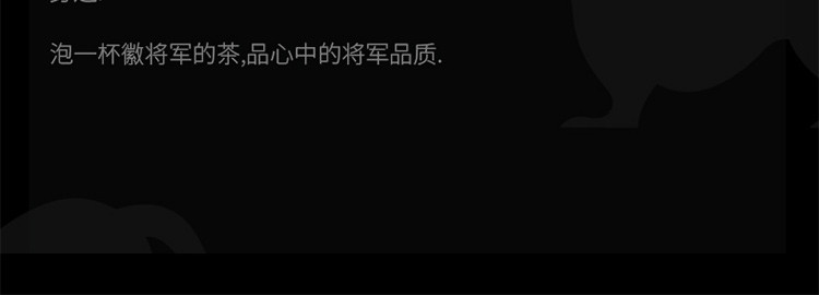 徽将军2021年新茶霍山黄芽明前嫩芽250g罐装安徽黄茶叶春茶