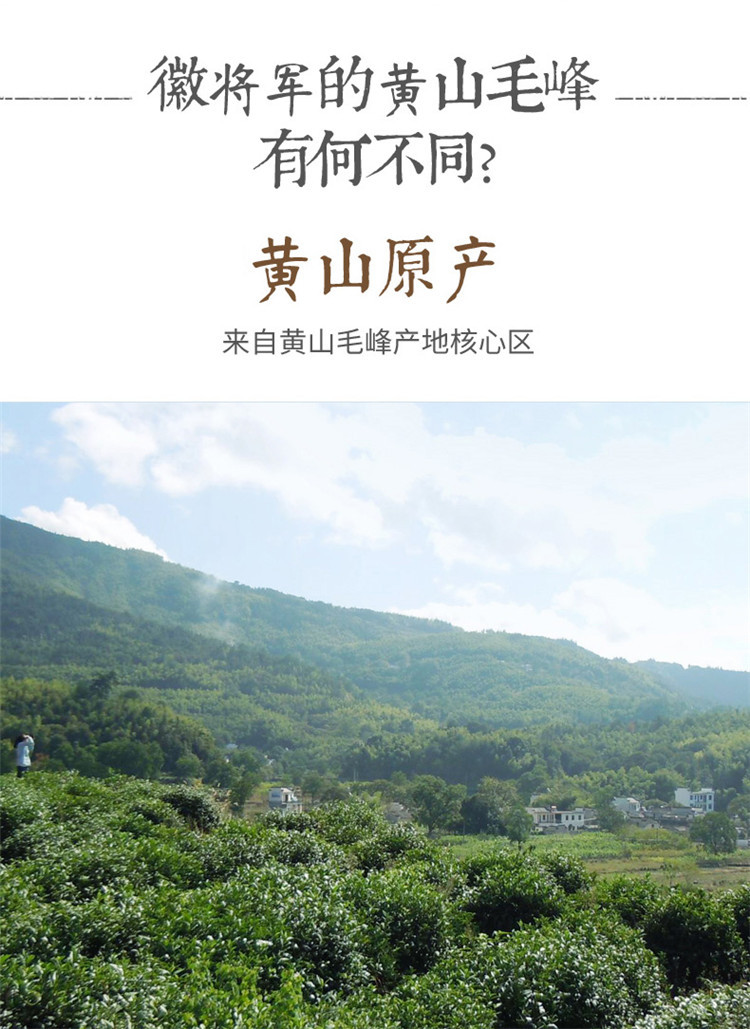 徽将军2020新茶明前特级黄山毛峰100g安徽春茶嫩芽茶叶绿茶罐装毛尖