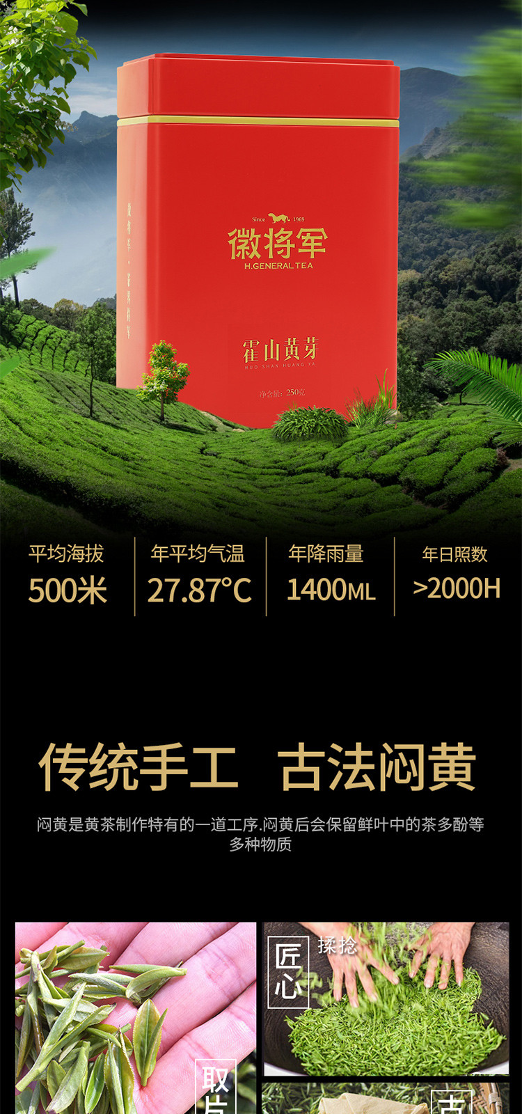 徽将军2021新茶霍山黄芽250g安徽霍山大化坪春茶黄茶茶叶