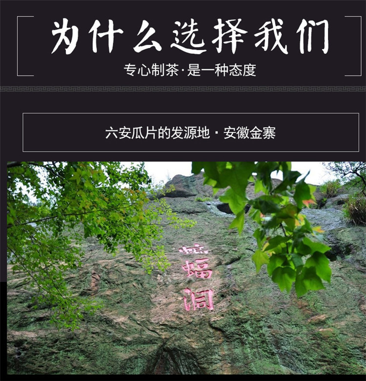 徽将军2021年茶六安瓜片500g手工茶叶安徽绿茶散装春茶