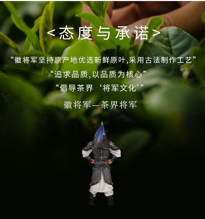 徽将军 【2021新茶直发】明前特级雀舌茶绿茶毛尖茶叶100g春茶嫩芽散装