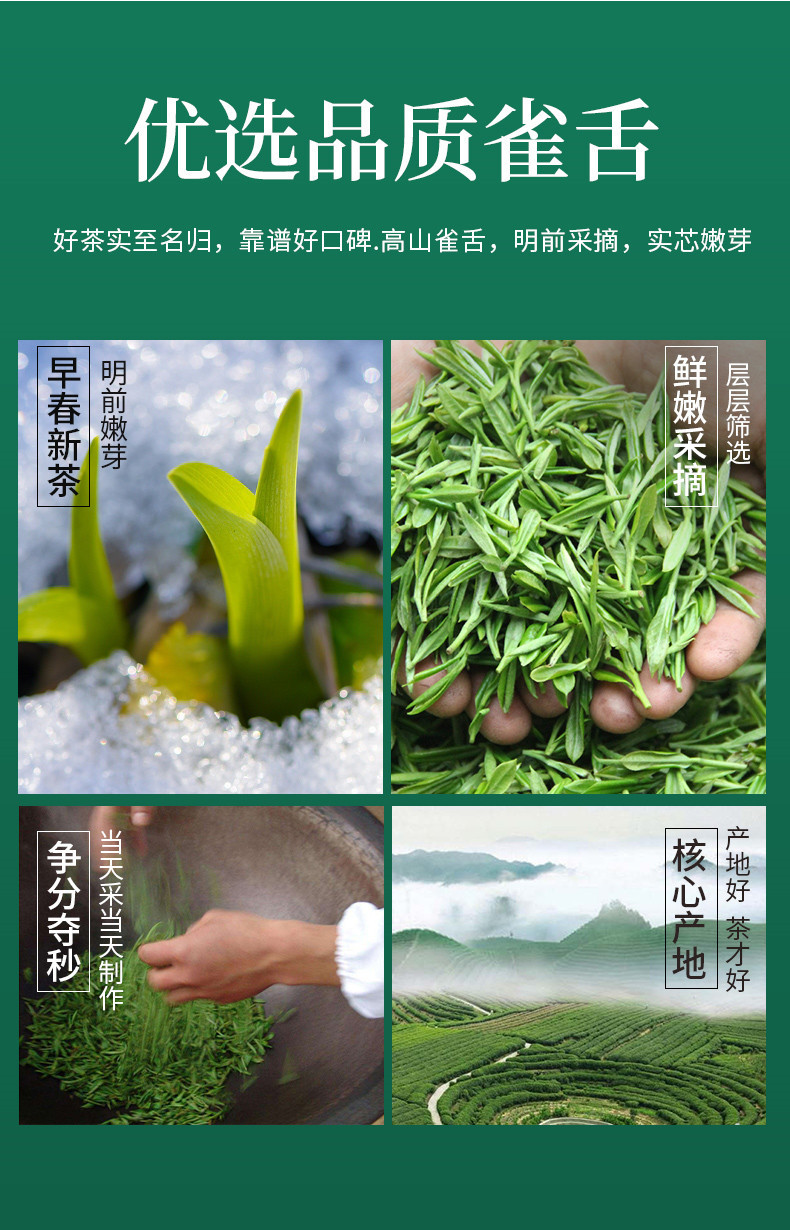 徽将军 【2021新茶直发】明前特级雀舌茶绿茶毛尖茶叶100g春茶嫩芽散装