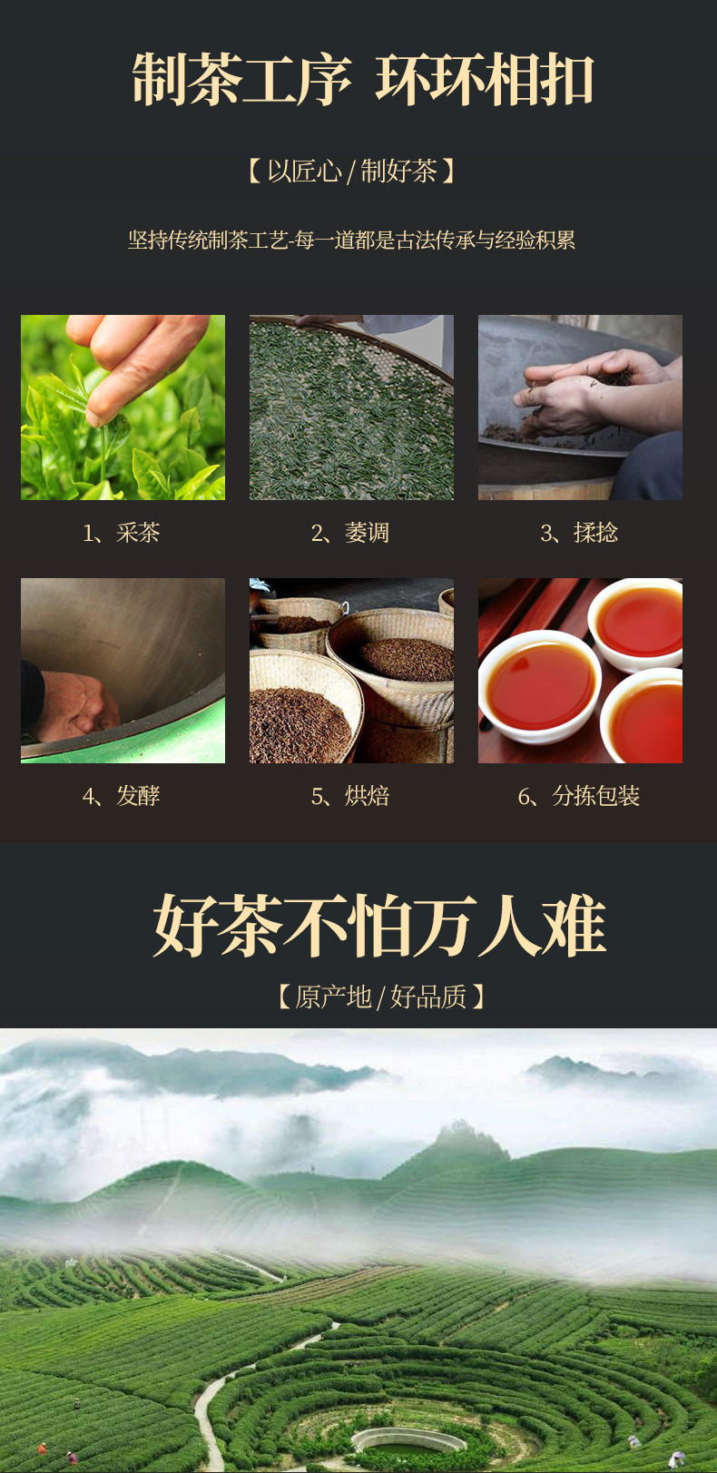 徽将军 2021新茶祁门红茶春茶安徽黄山浓香型特级红香螺茶叶125g