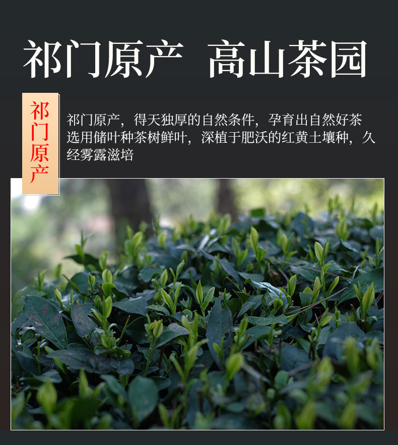 徽将军 2021新茶祁门红茶春茶安徽黄山浓香型特级红香螺茶叶125g