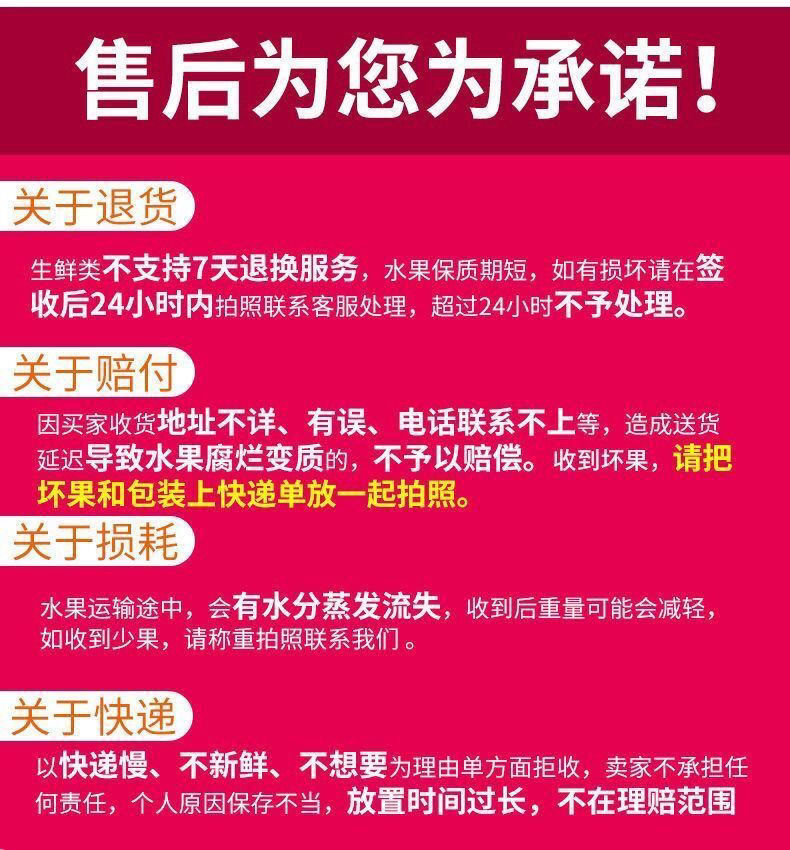 【领劵立减11元】羊角蜜酥甜瓜种子种籽脆密超甜高产四季牛角香瓜蜜瓜种籽孑水果