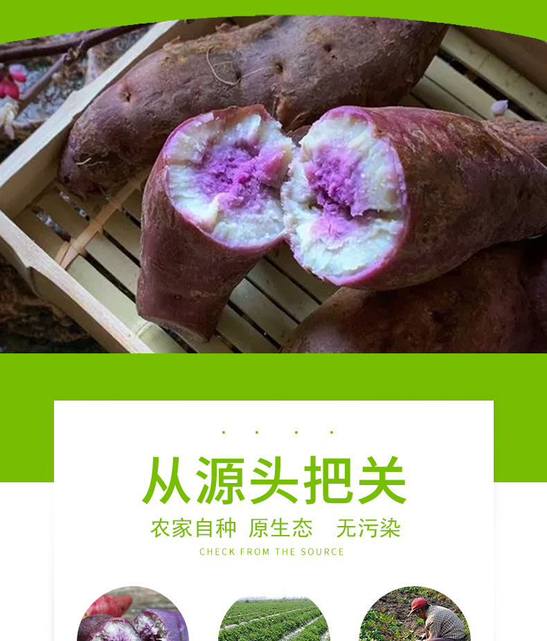 【领劵立减11元】广东茂名沙地冰淇淋红薯现挖新鲜一点红番薯粉糯香甜花心板栗紫薯