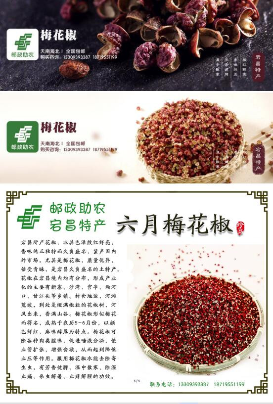 蕴东山 【宕昌扶贫地方馆】宕昌特产梅花椒150g/袋  干货食用