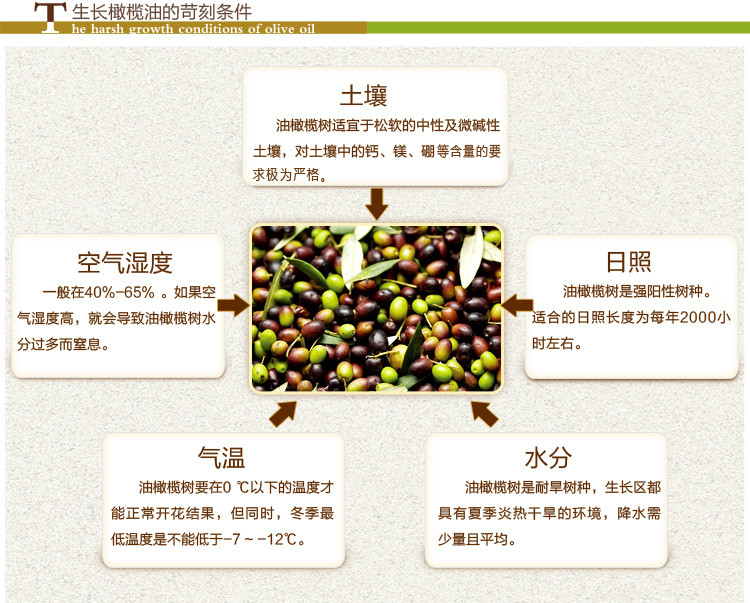 田园品味 【陇南市扶贫地方馆 】陇南田园橄榄油 国产食用油 甘肃特级初榨橄榄油500ml×6瓶