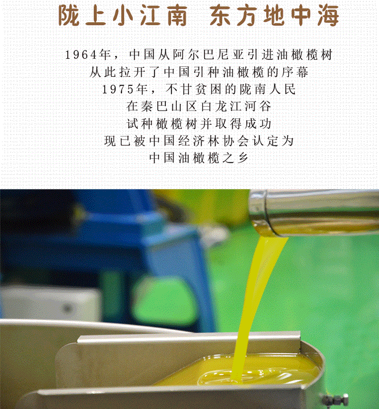 祥宇 【陇南市扶贫地方馆 】祥宇有机特级初榨橄榄油1L铁桶食用炒菜油植物油凉拌烘培油