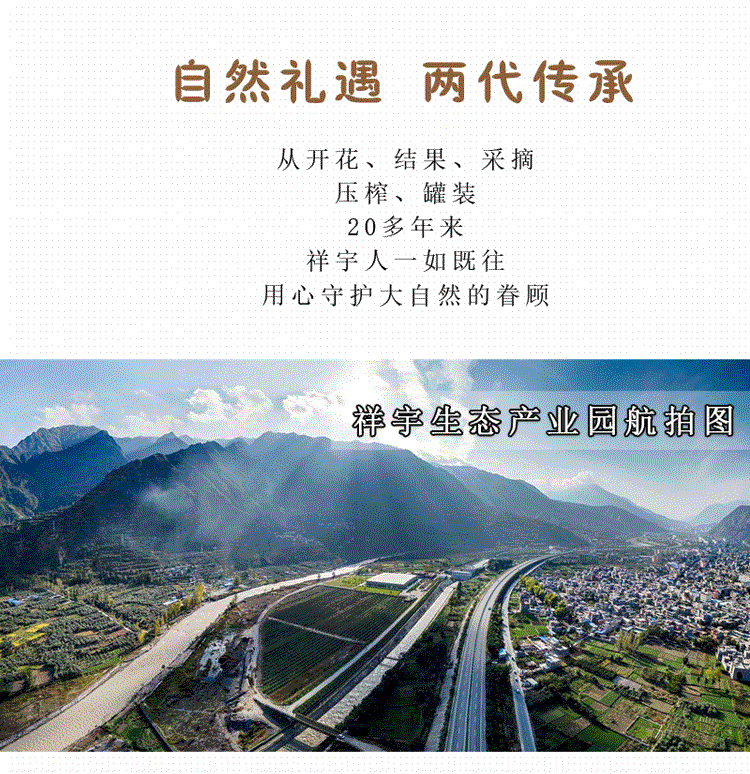 祥宇 【陇南市扶贫地方馆 】有机特级初榨橄榄油500ml*6食用橄榄油植物油凉拌油烘培油