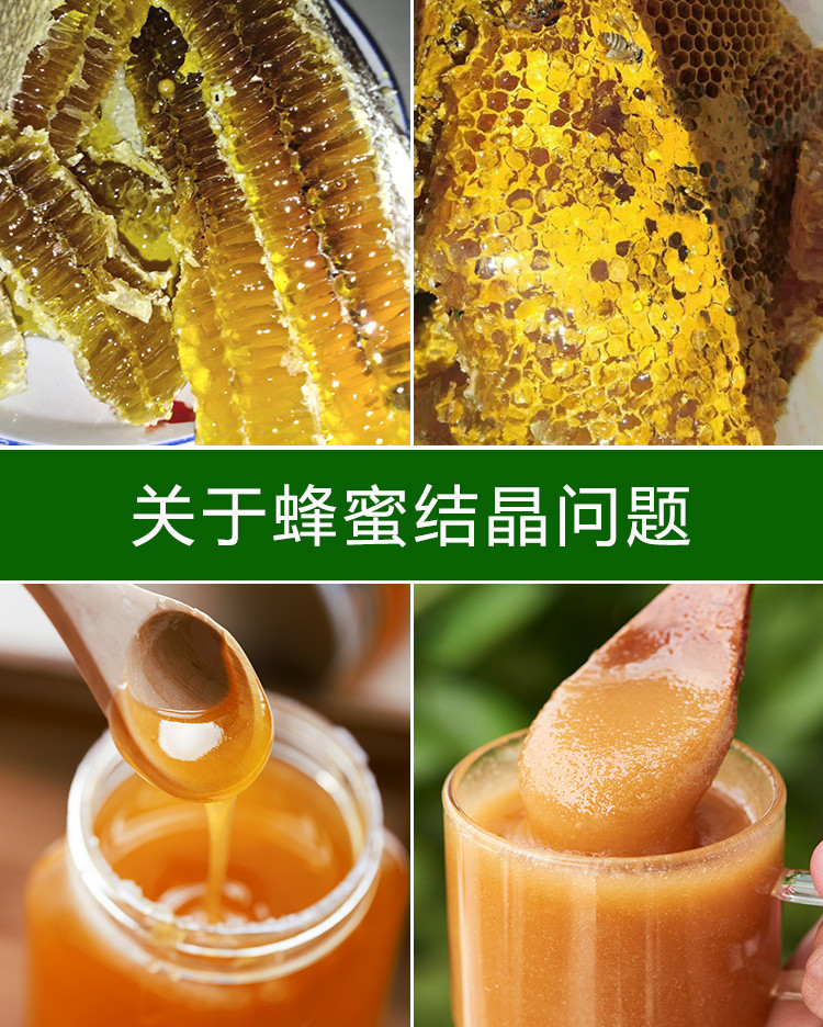 绿蚁康 【徽县振兴馆】青泥山土蜂蜜500g