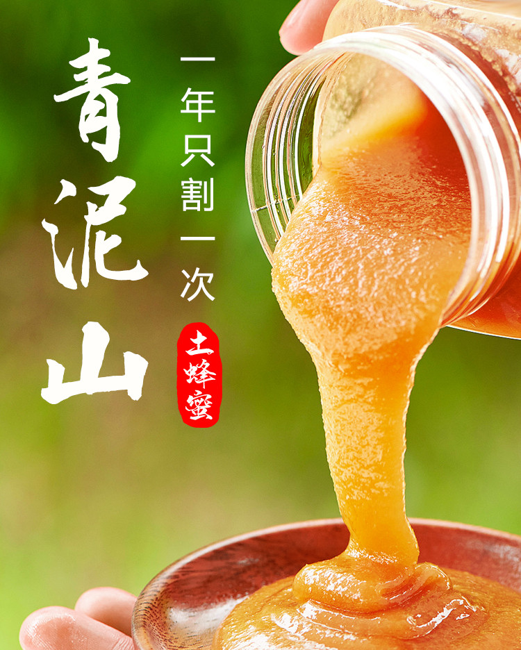 绿蚁康 【徽县振兴馆】青泥山土蜂蜜500g