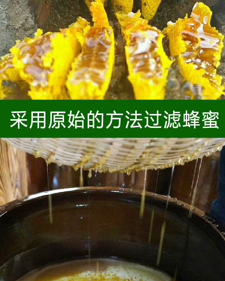 绿蚁康 【徽县振兴馆】青泥山土蜂蜜500g