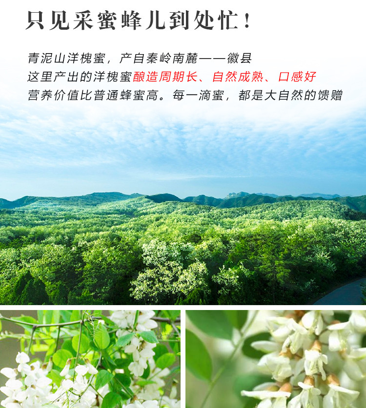 陇小邮 【徽县振兴馆】槐花蜂蜜波美度42°的成熟蜜500g*2瓶 500g*2