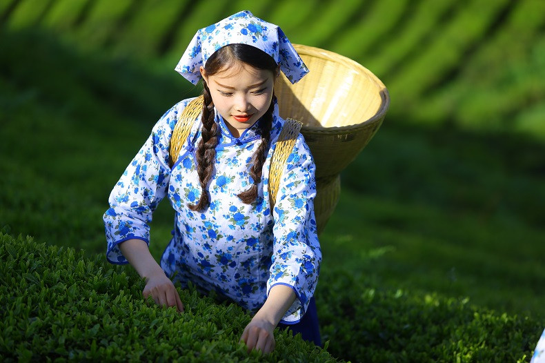 皇恩宠锡 宣恩伍家台贡茶  御宠有机雾绿 富硒 特级烘青 300克