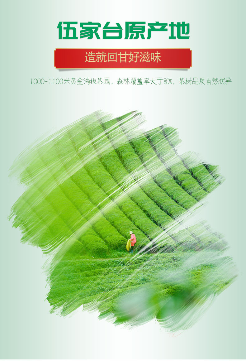 【邮政助农-湖北特产】绿茶2020新茶恩施硒茶伍家台贡茶香茶100g/袋