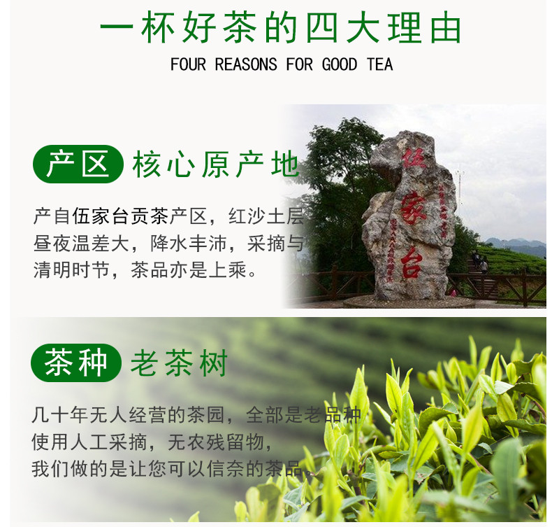 【邮政扶贫-湖北宣恩】恩施硒茶伍家台贡茶2021新茶绿茶瑶圃贡芽 100g/罐