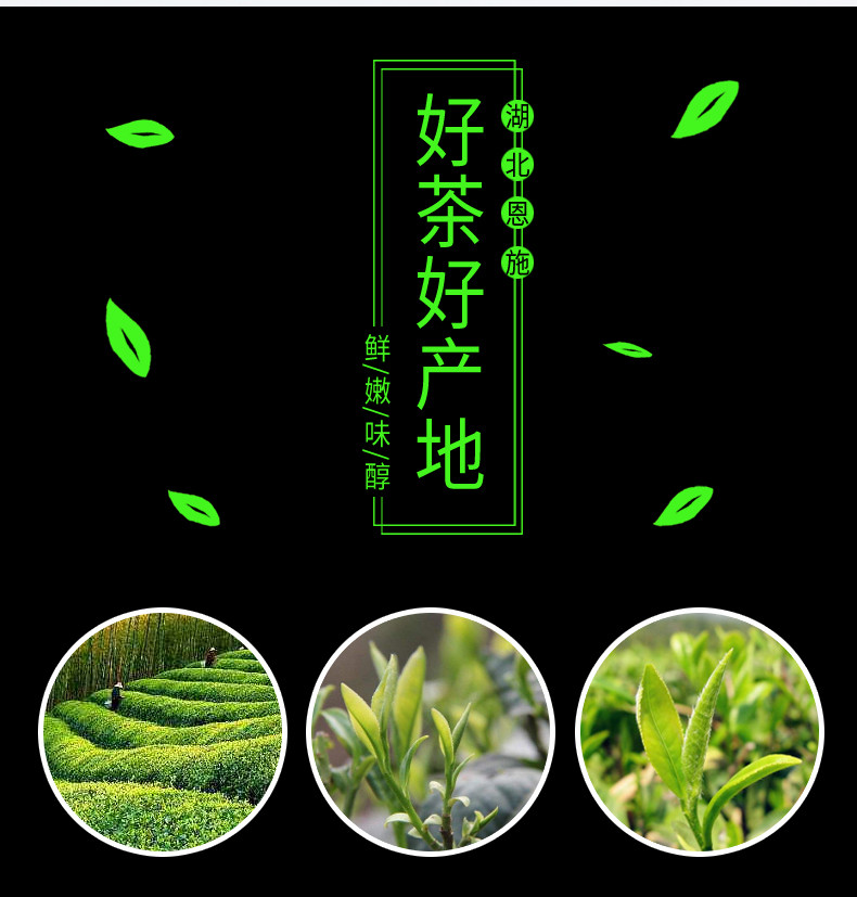 【邮政扶贫-湖北特产】绿茶伍家台贡茶瑶圃恩施硒茶栗香绿茶-烘青250g/袋