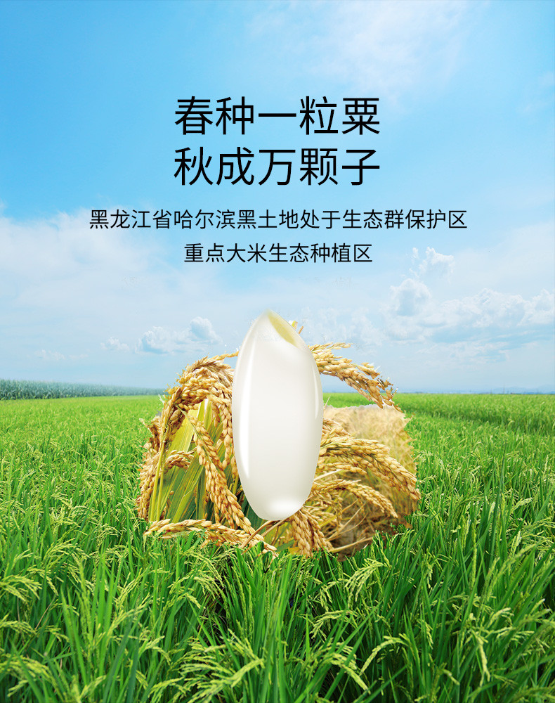 长寿花  稻花香大米2kg*2袋东北五常大米当季新米