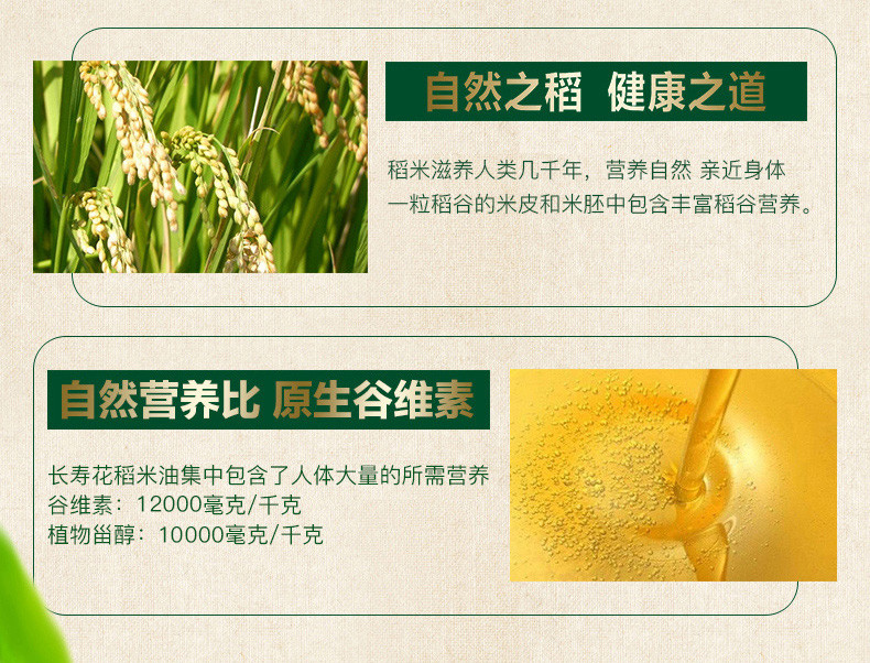 长寿花  稻米油4L*1瓶食用油烘焙油食用米糠油含谷维素