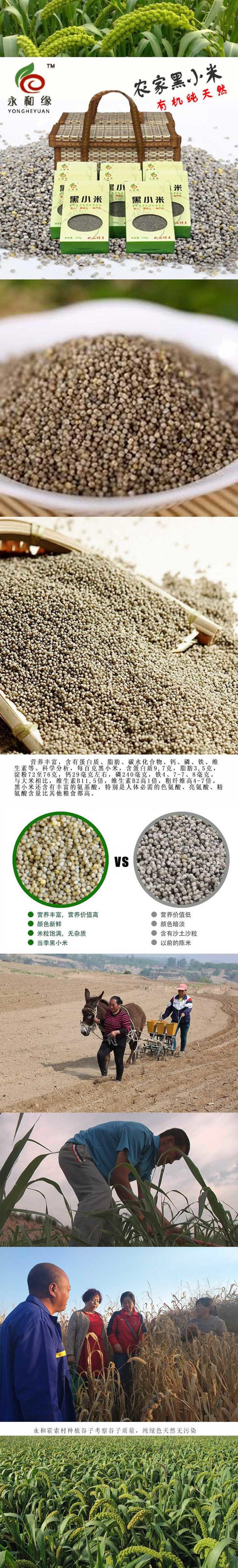 【永和馆】永和黑小米500g*5袋装