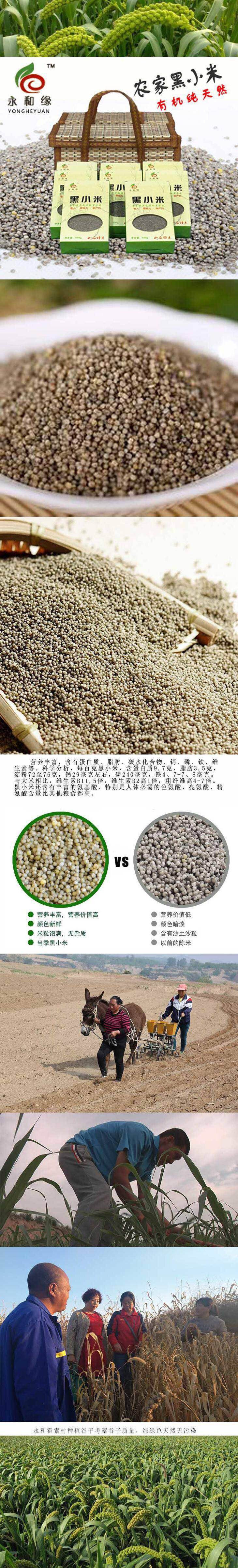 【吉县扶贫地方馆】永和黑小米500g*5袋装