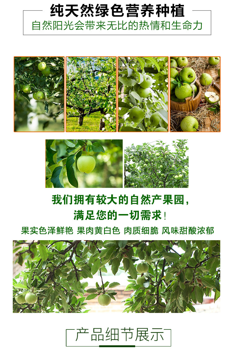 【山西临汾】 新鲜脆爽青苹果水果3斤/5斤