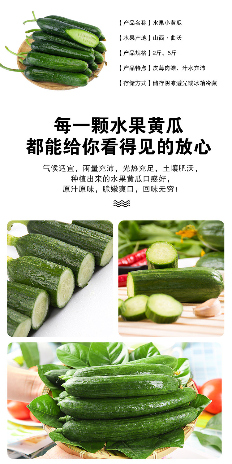 【平阳馆】 新鲜水果小黄瓜2斤/5斤包邮脆嫩 自然熟 生吃