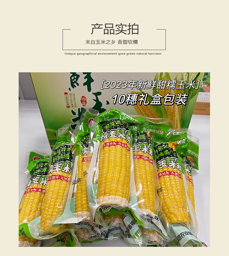 谷稻粮塬 【晋乡情·临汾】农家甜糯玉米真空包装10穗装 软糯香甜