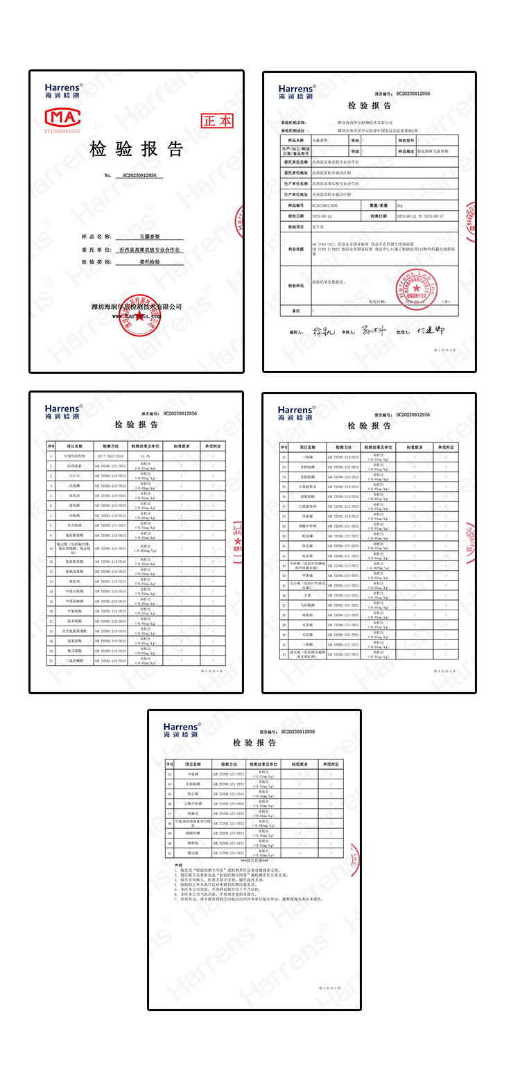 溢泉山 【山西临汾】汾西玉露香梨香甜多汁皮薄肉细一级果6枚/12枚