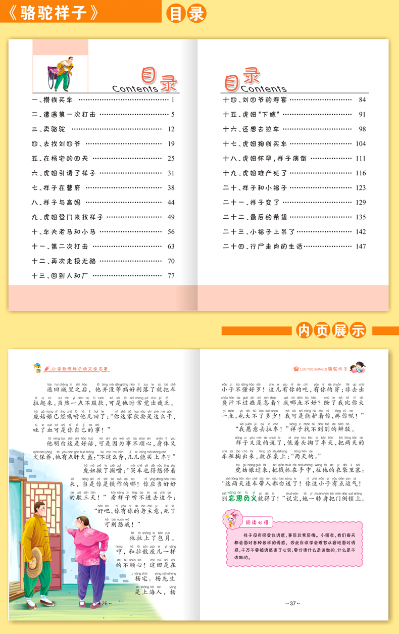 全套10册稻草人城南旧事骆驼祥子繁星春水小学生课外阅读书籍1-3年级（文）