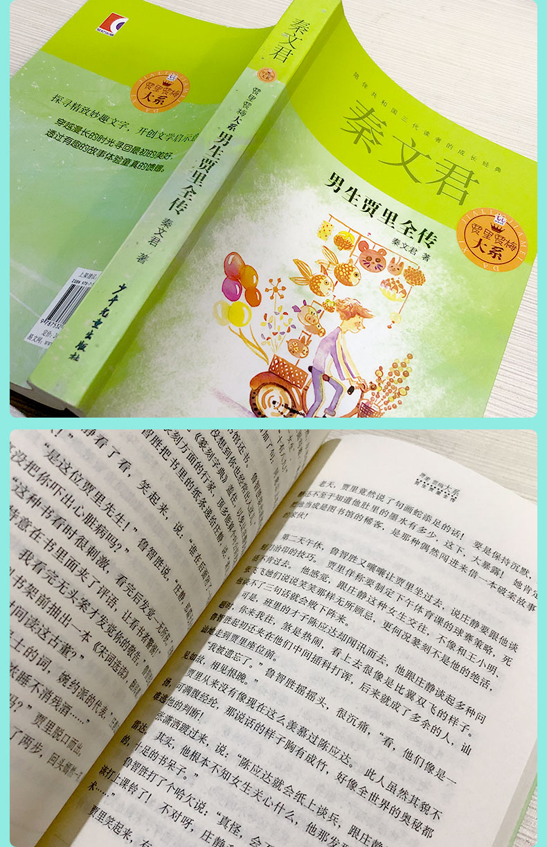 男生贾里全传 书 秦文君著 小学生四五六年级必读课外书籍7-12-15岁阅读故事书儿童文学