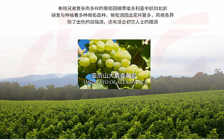 【ASC官方授权】布琅兄弟澳洲原瓶进口红酒甜酒莫斯卡托桃红葡萄酒单支750ml*1