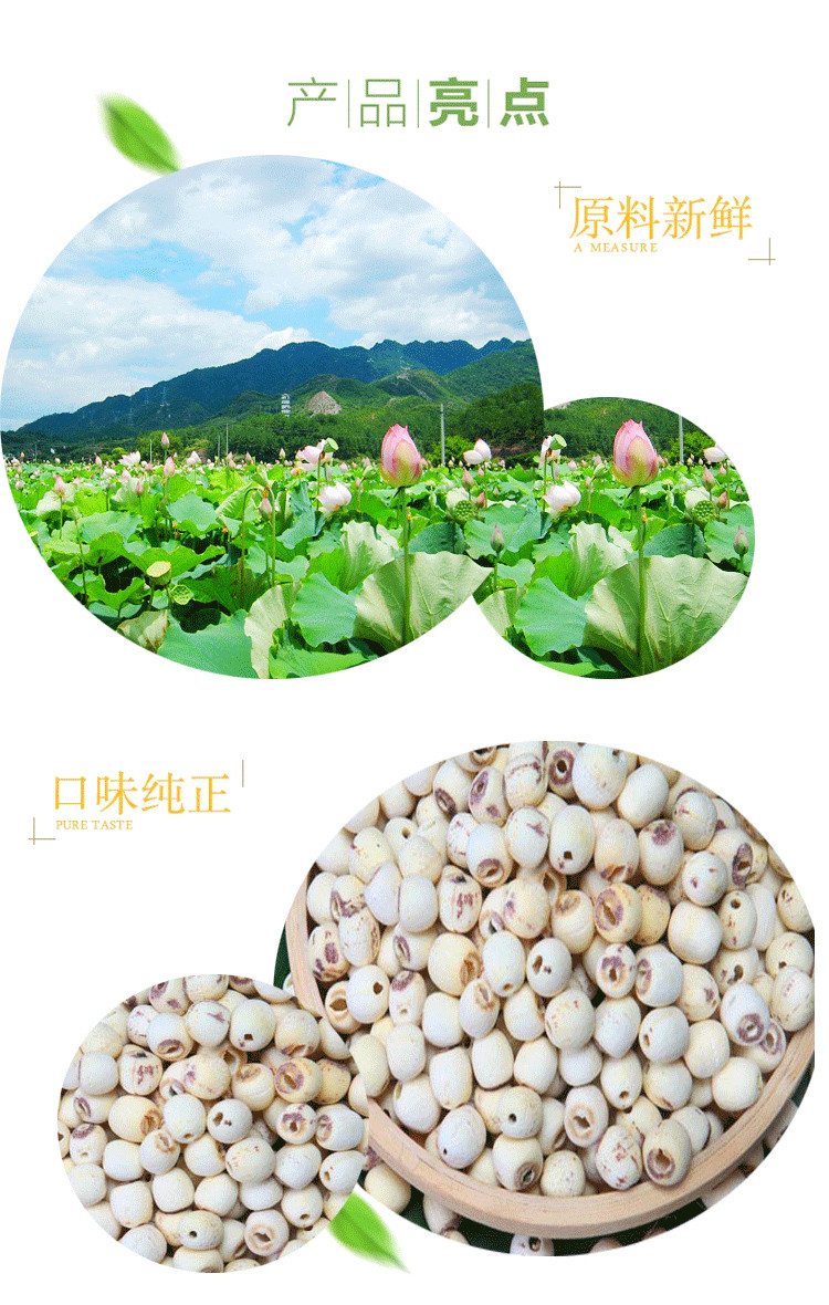 仙湖 【汉寿振兴馆】特产干货红莲子300g 红莲