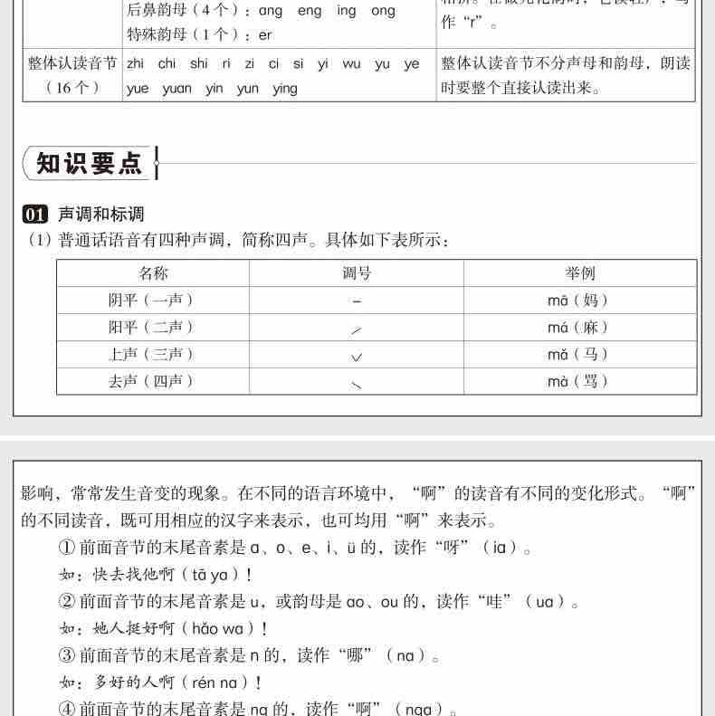 小学语文知识大全人教版一到六年级小升初必备小学1