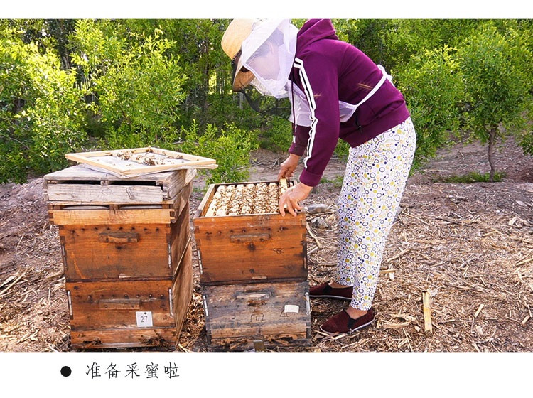 农家自产 蜂蜜纯正天然农家自产野生百花蜜原蜜土蜂蜜枣花蜜无添加洋槐蜂蜜