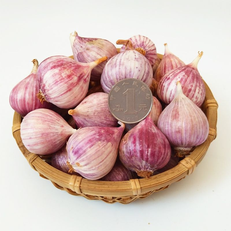 藏邮鲜 云南紫皮独头珍珠蒜 约2.5cm辛辣味足