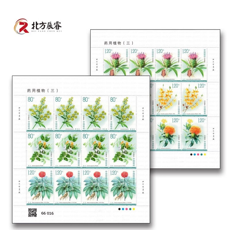 藏邮鲜 2023-20 药用植物(三) 特种邮票大版张版式一完整版