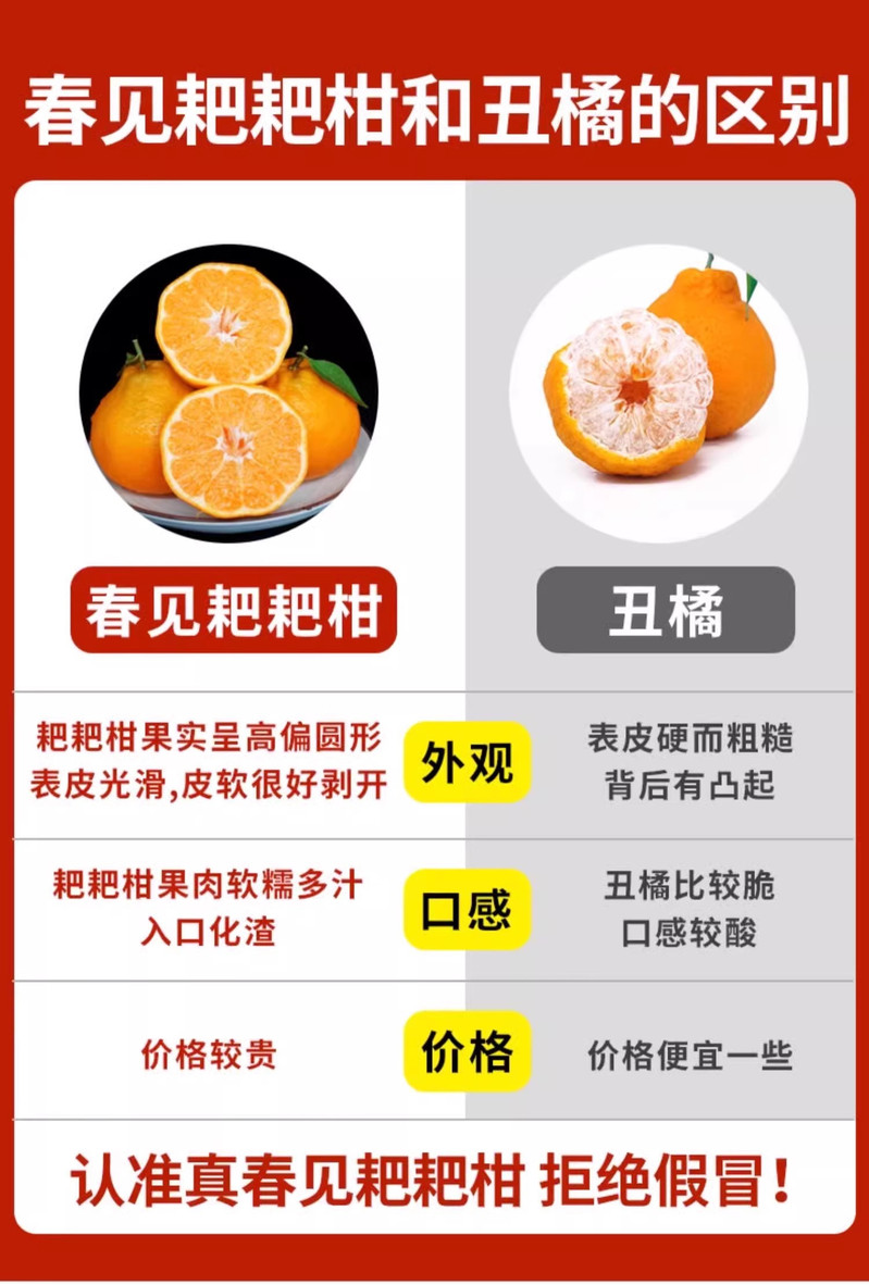 藏邮鲜 四川都江堰耙耙柑（春见）新鲜水果粑粑橘子现摘发货