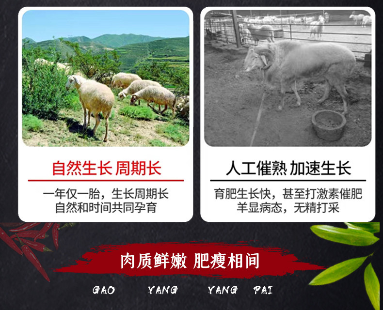 西北羊肉哥 祁连冰川 戈壁滩羊 新鲜羊肉 送卤肉料包+辣酱