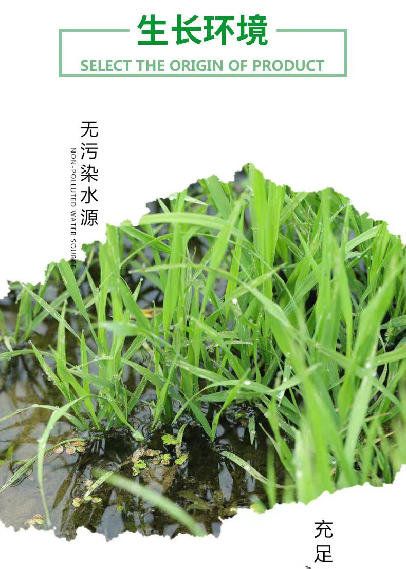 常阴沙 稻香米2.5kg