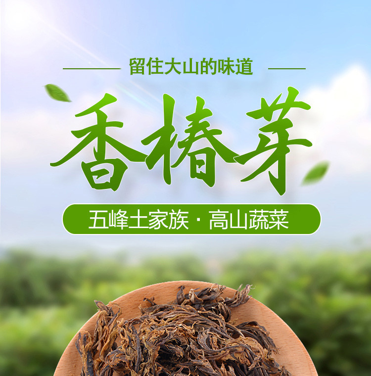 【五峰乡村振兴】高山干香椿芽干货500g