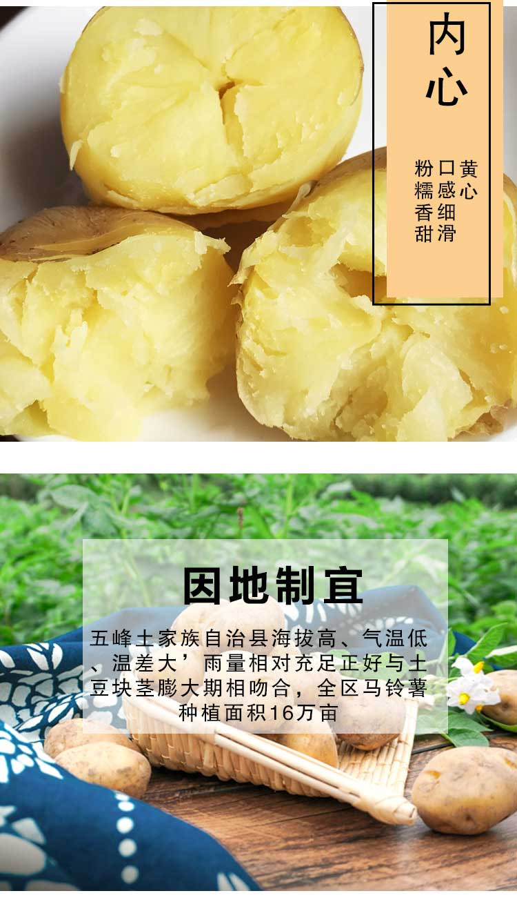 湖北五峰印象高山土豆黄皮黄心洋芋 5斤/盒