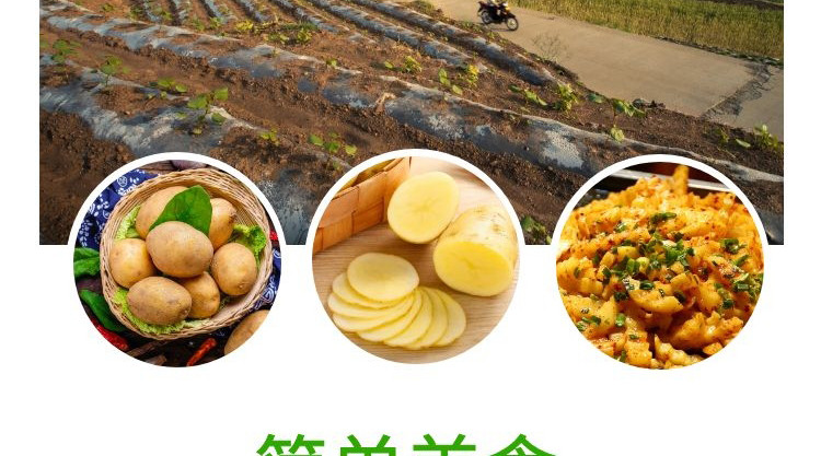 农家自产 【襄州邮政】助农张家集镇2024年新土豆 现挖现发  5斤装