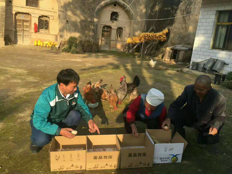 【镇原  扶贫馆】镇原方山散养土鸡蛋30枚